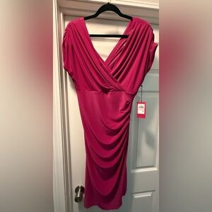 Elegant Pink Dress, NWT